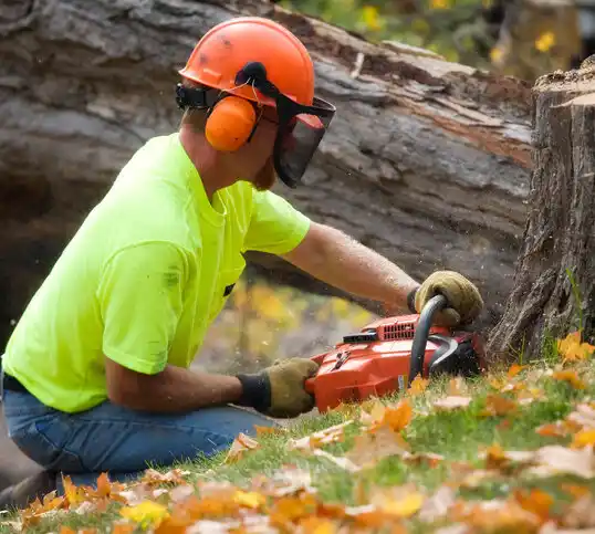 tree services Edgerton